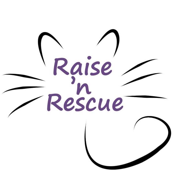 Raise ‘n Rescue is in the northern suburbs of Cape Town. We don’t have a shelter, but all our rescues are in different foster homes in and around the Bellville area.