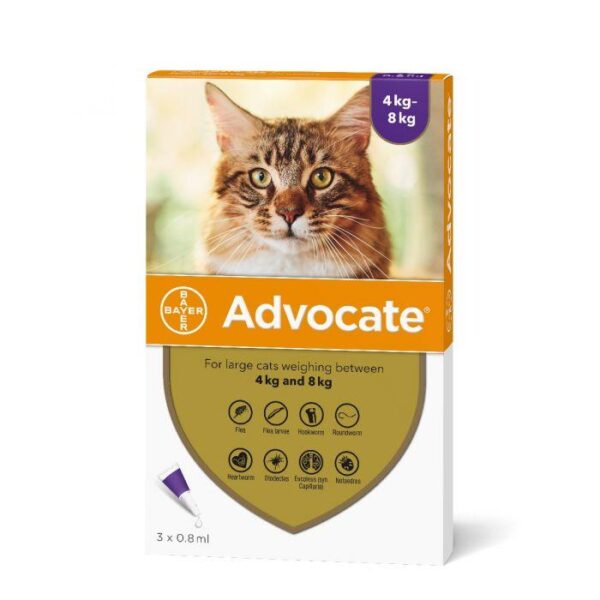 Advocate for Large Cat 4 KG Purple