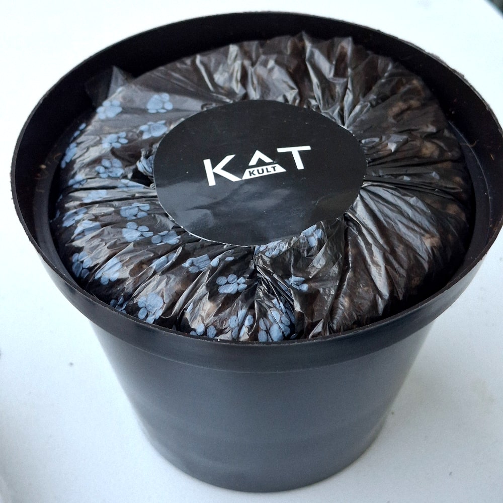 CAT GRASS GROW KIT - Image 3