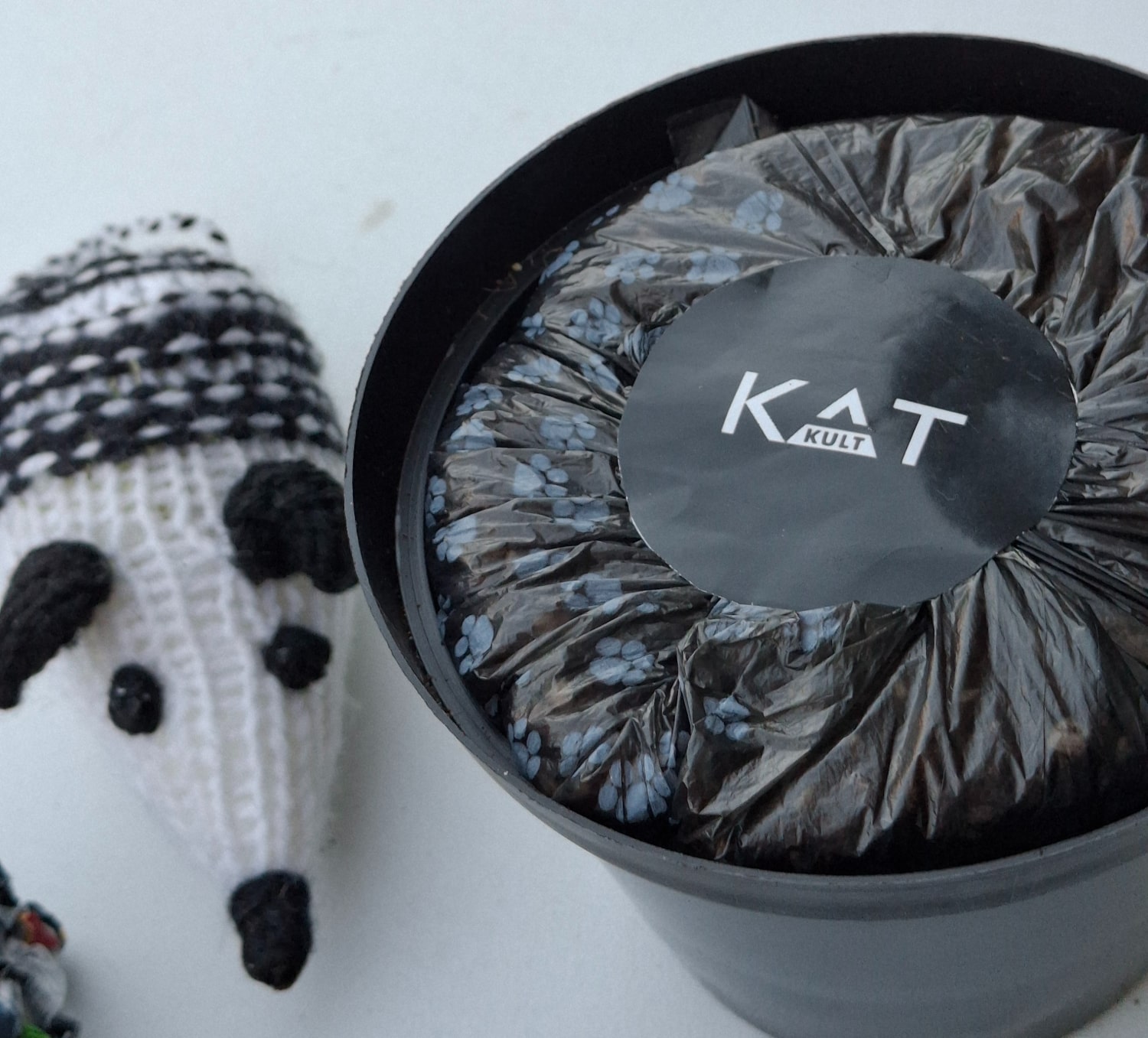 CAT GRASS GROW KIT - Image 2