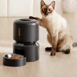 Cat Feeders