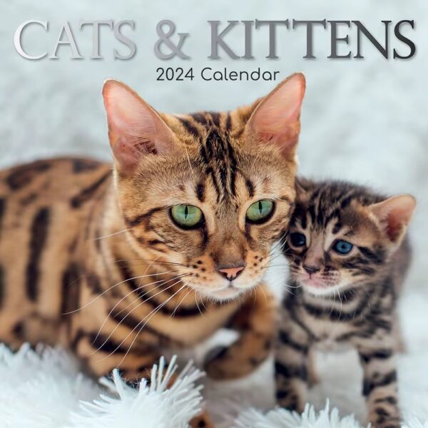 2024 Cats and Kittens Wall Calendar