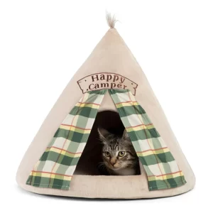 Cat Hut for felline campers