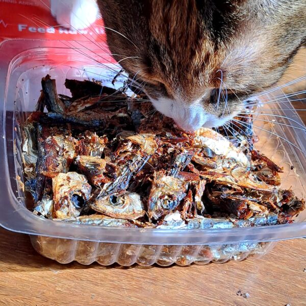 Air-dried Whole Fish Sprats For Cats - Image 4