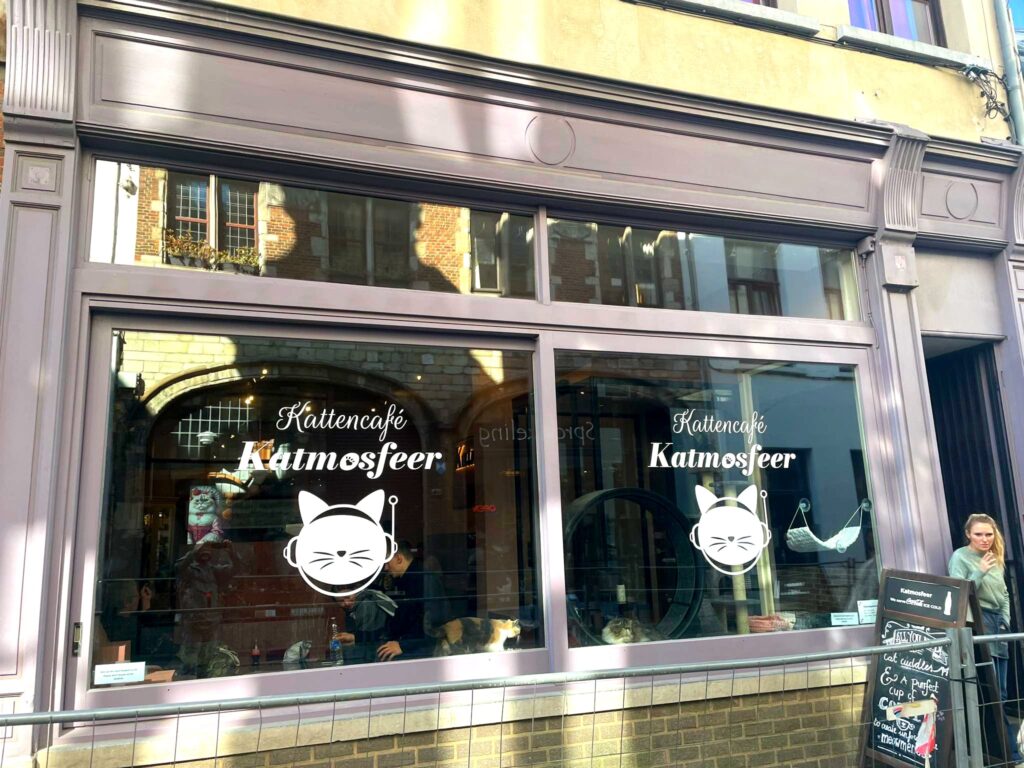 Street view and exterior of Kattencafe Katmosfeer in Antwerpen.