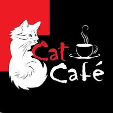 Curiosity Cat Cafe