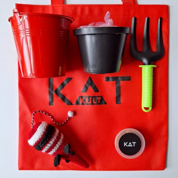 Krismas Kat Kollection - Cat Grass Grow Kit - Image 2