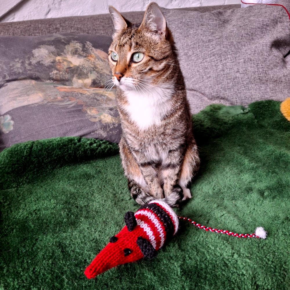 Rats For Cats - Image 5