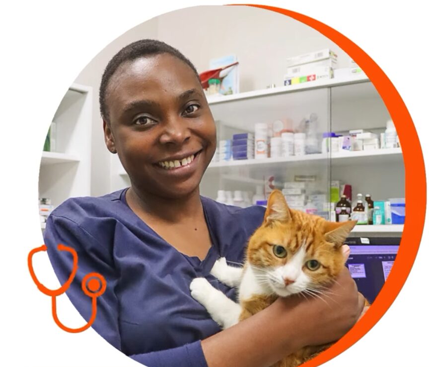 Dr Joy Bhandi Dr Joy Bhandi