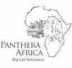 Panthera Africa Big Cat Sanctuary