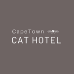 Cape Town Cat Hotel