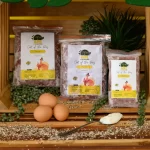 As Nature Intended As Nature Intended