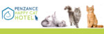 Penzance Happy Cat Hotel