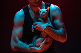 man in black tank top carrying a sphynx cat