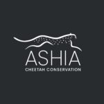 Ashia Cheetah Conservation