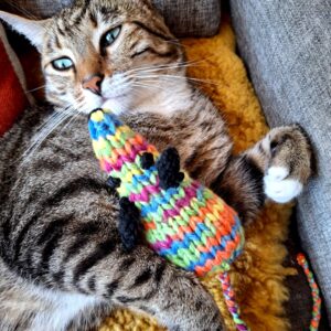 Rainbow Rats For South African Cats