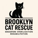 Brooklyn Cat Rescue